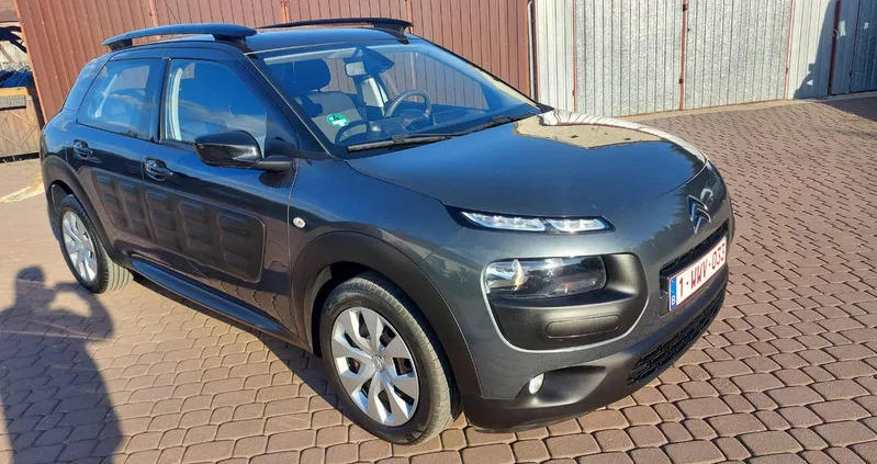 lubelskie Citroen C4 Cactus cena 34900 przebieg: 114251, rok produkcji 2017 z Izbica Kujawska